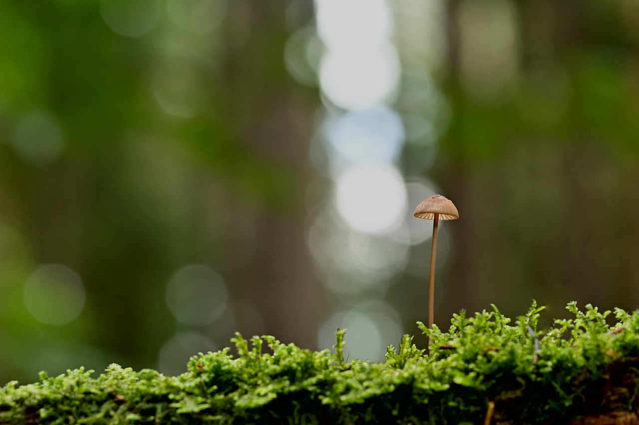 "Heure miroir 20h20"