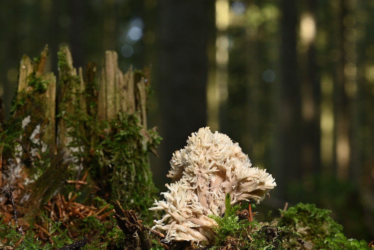 "Heure miroir 20h20"