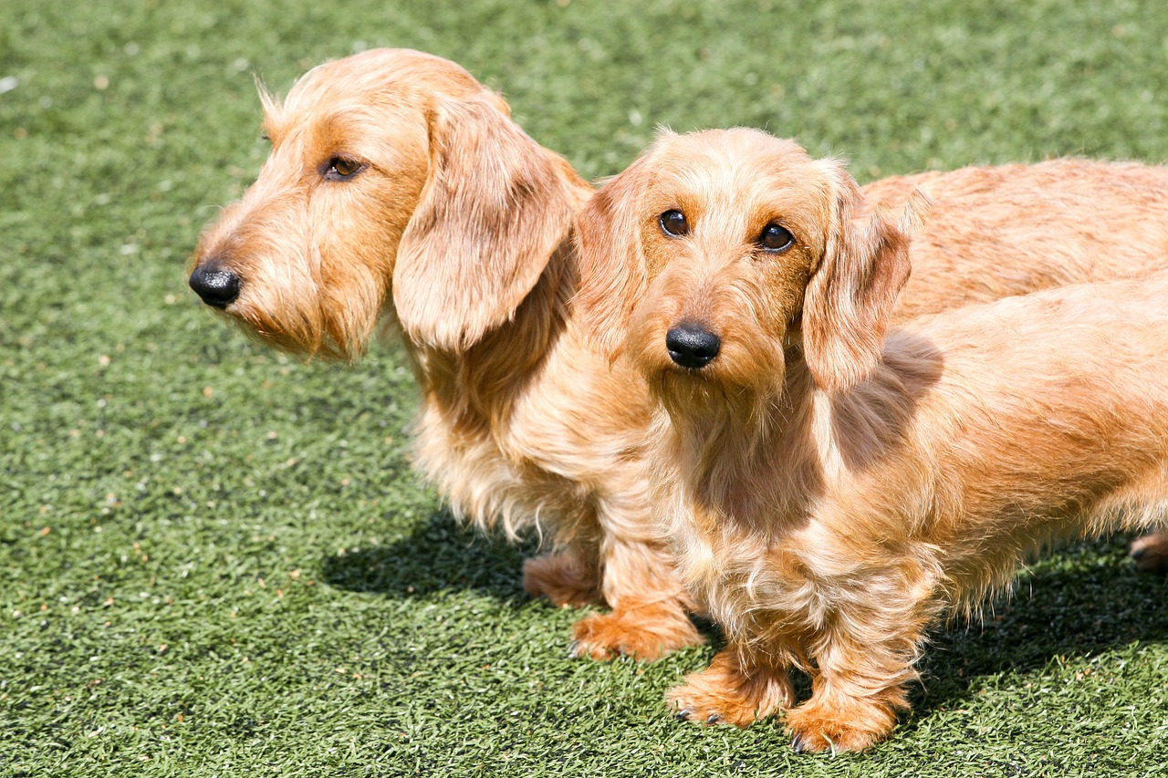 "Heure miroir 20h20"