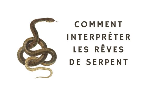 reves de serpent