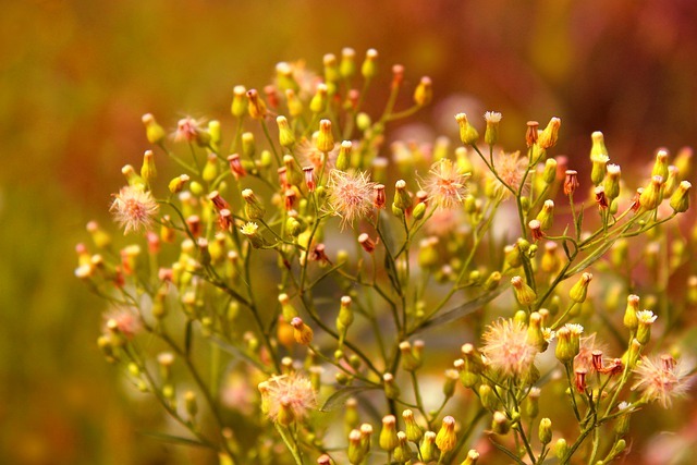 "Heure miroir 20h20"