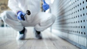 Éradication des nuisibles : méthodes efficaces pour protéger votre maison