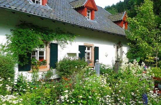 Cinq_plantes_d_accompagnement_pour_votre_jardin