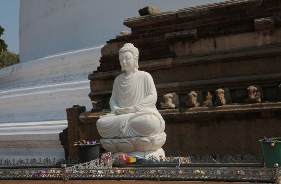 5_bonnes_raisons_de_vous_envoler_pour_le_Sri_Lanka