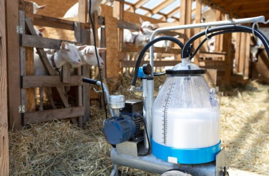 le-lait-de-chevre-un-ingredient-naturel-au-pouvoir-ultra-hydratant.jpg