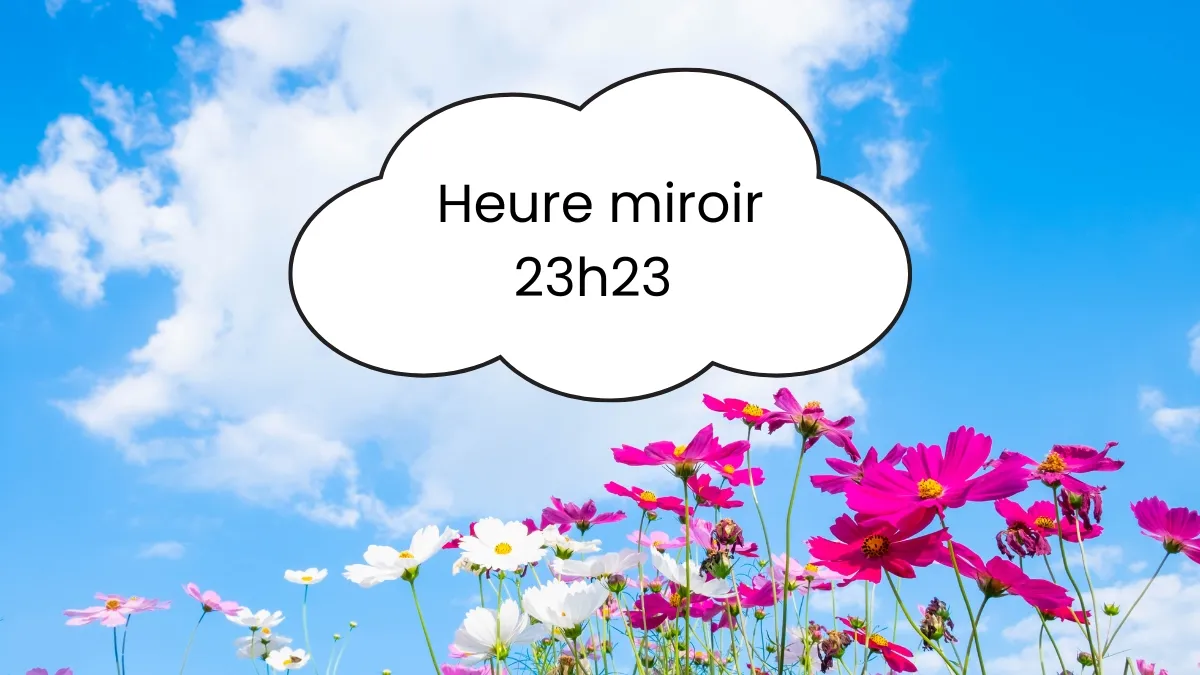 Heure miroir 23h23