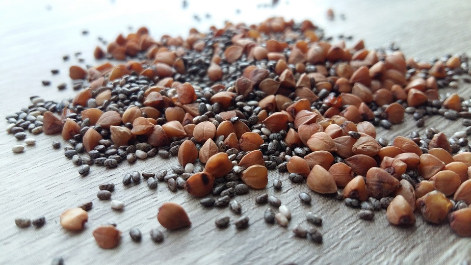 utilisation Graine de chia