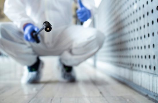 Éradication des nuisibles : méthodes efficaces pour protéger votre maison