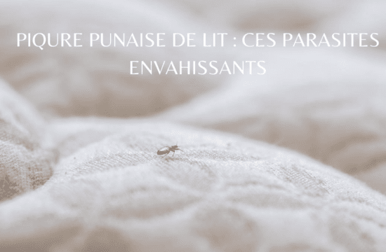 Tu préfères Le jeu à asbolument tester entre amis (7)