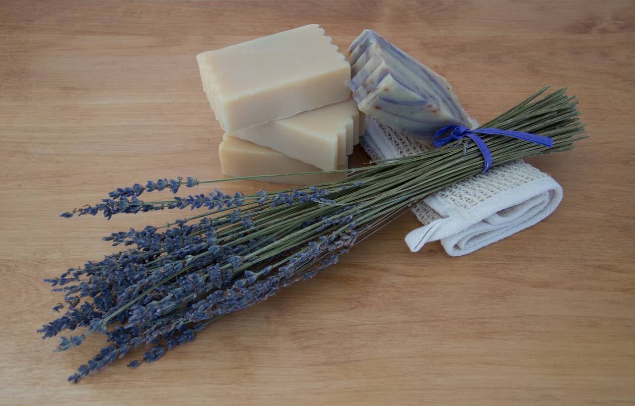 savon lait chèvre cosmétique bio