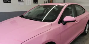 covering rose