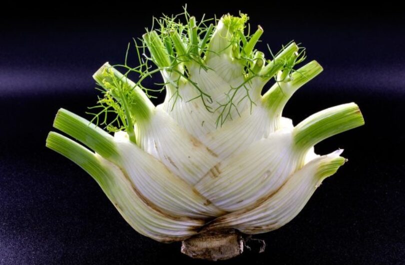 Apprendre_à_cultiver_le_fenouil_pour_l_alimentation,_la_santé_et_le_plaisir