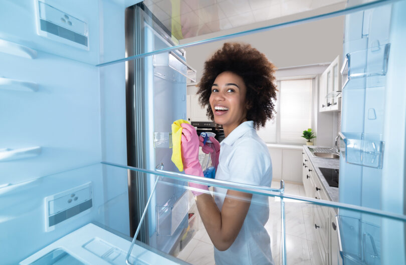 Close-up Of A Happy Young Woman Cleaning Refrigerator With A Spray Detergent