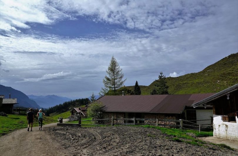 L_agritourisme_:_vivre_une_expérience_originale_pendant_un_séjour_à_la_ferme