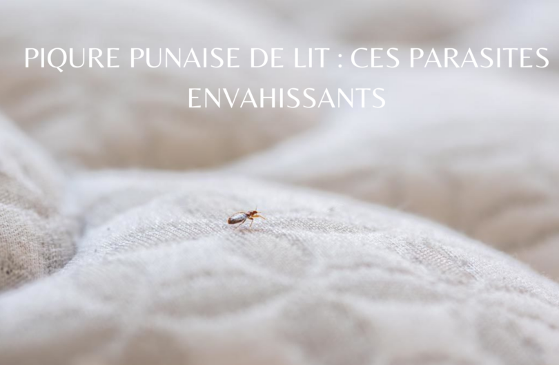 Tu préfères Le jeu à asbolument tester entre amis (7)