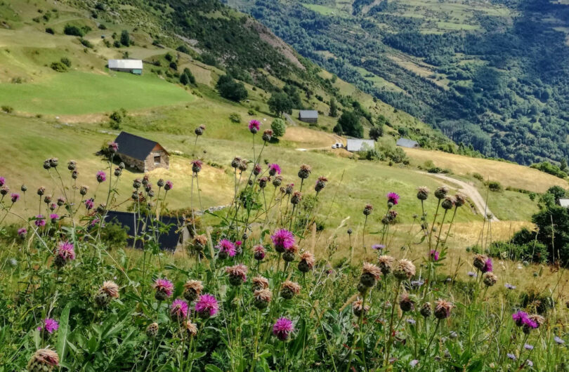 Et si vous passiez vos prochaines vacances d'été en famille dans les Hautes-Pyrénées ?