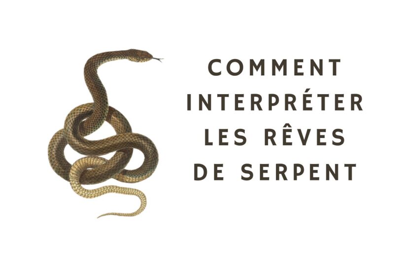 reves de serpent